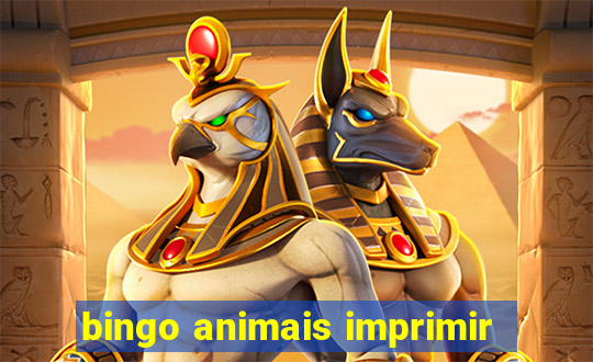 bingo animais imprimir